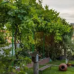 Cherry Гостевой дом 2*