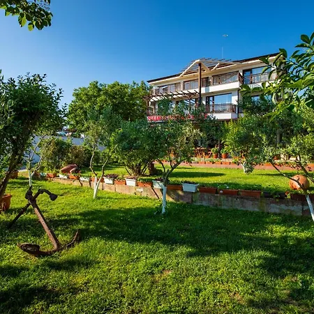 Guest house Cherry 2*