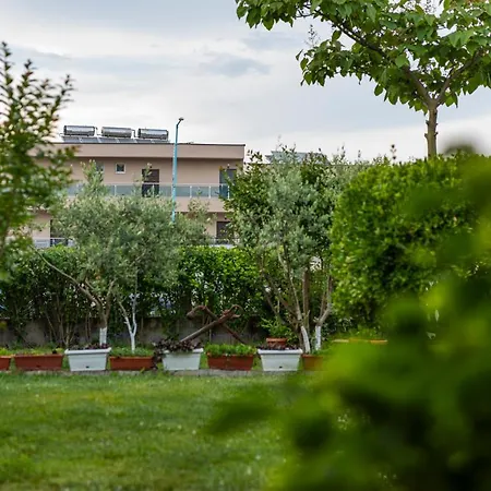 Guest house Cherry 2*