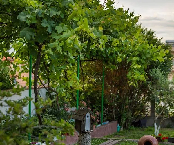 Cherry Къща за гости 2*