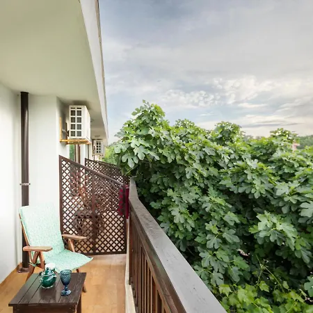 Konukevi Cherry Süzebolu