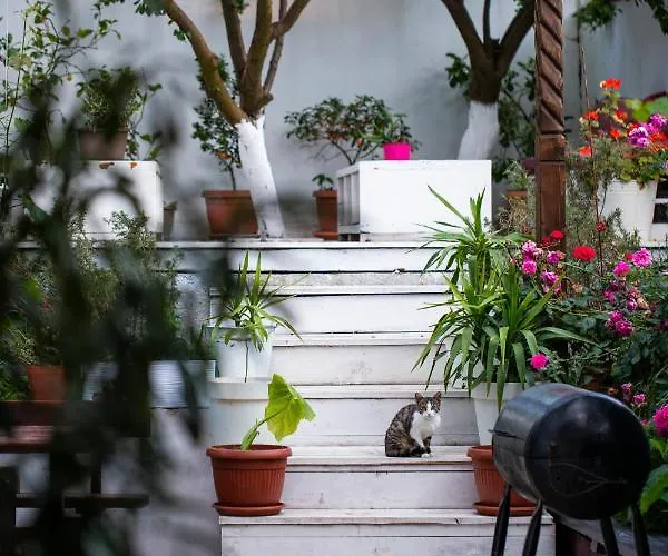 Konukevi Cherry Süzebolu